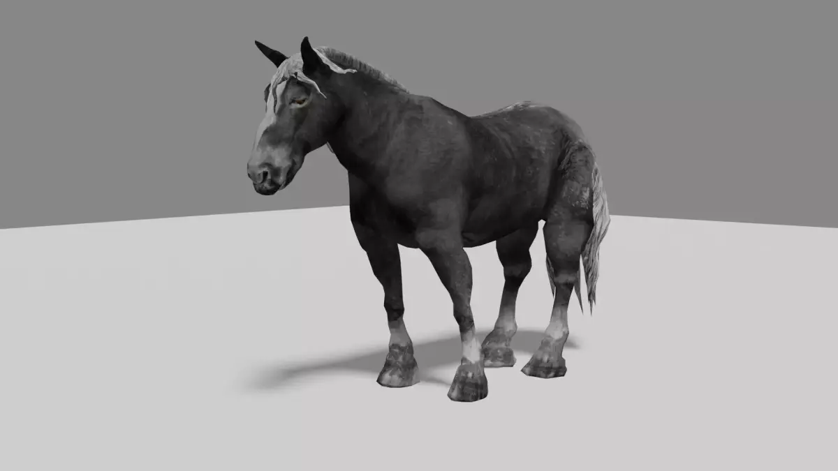 Black Wild Horse fully rigged Low-poly 3D model
