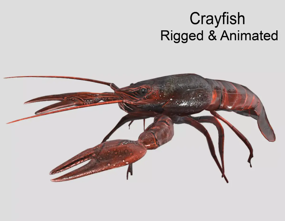 Crayfish Realistic Animated Low-poly 3D model