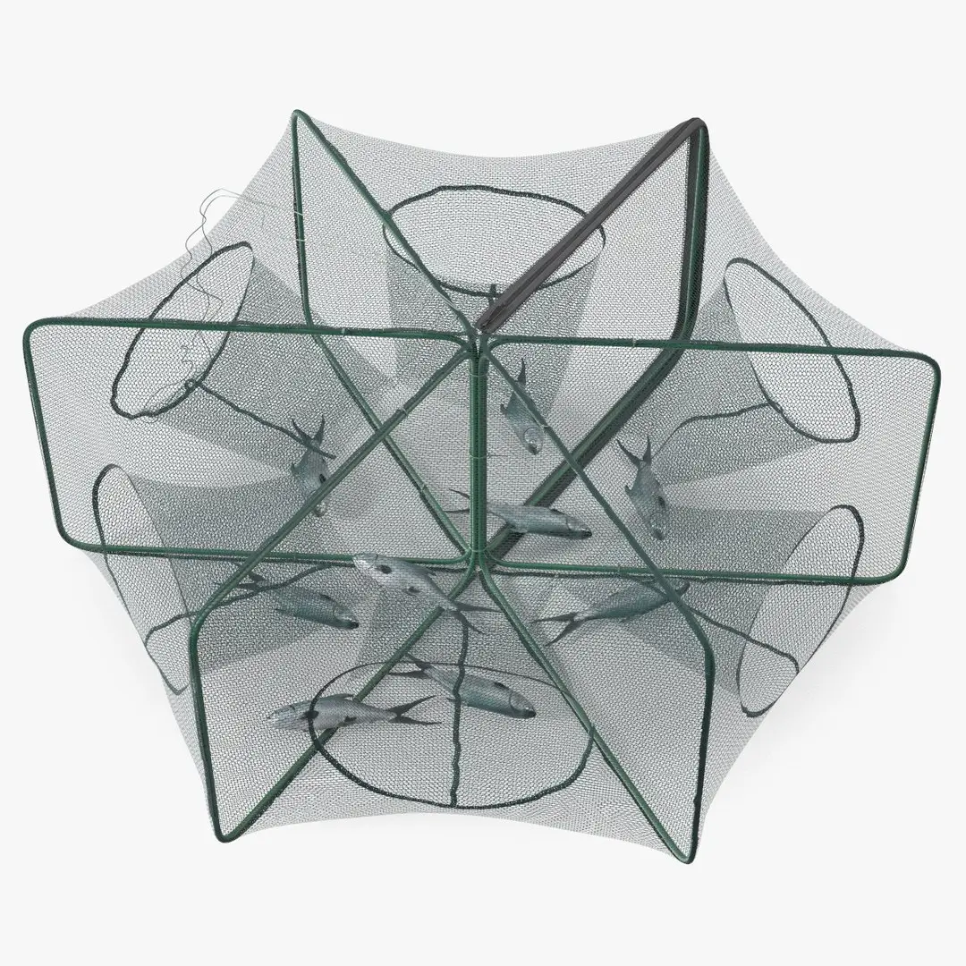 Mesh Fishing Trap with Fish Inside 3D model