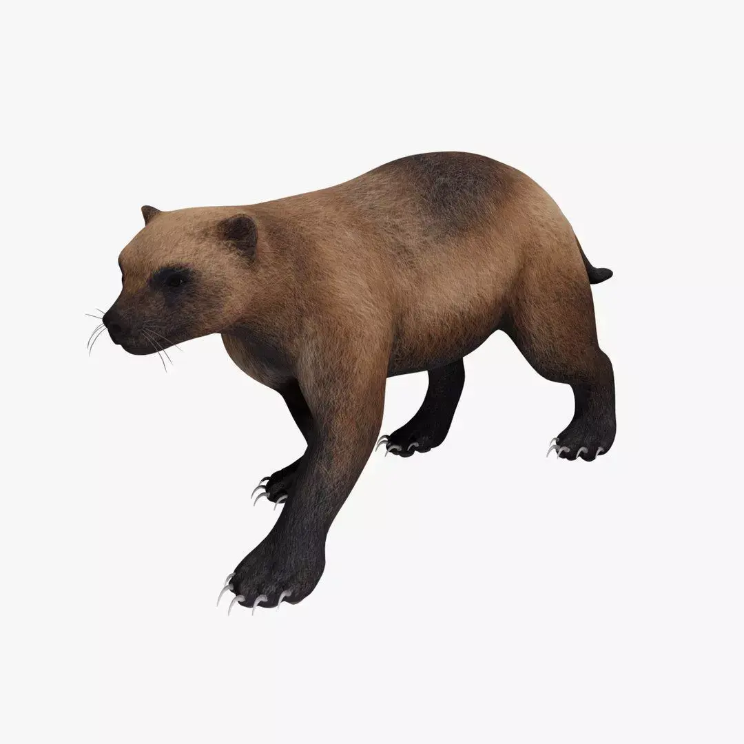 Wolverine 3D model
