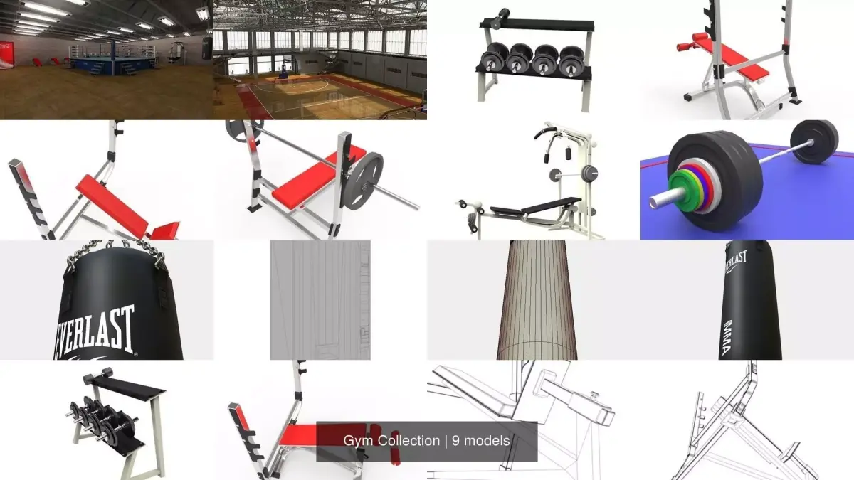 Gym Exercise Workout Pack