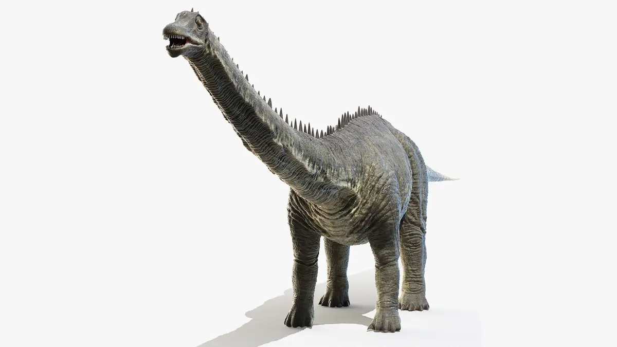 Diplodocus 3D model