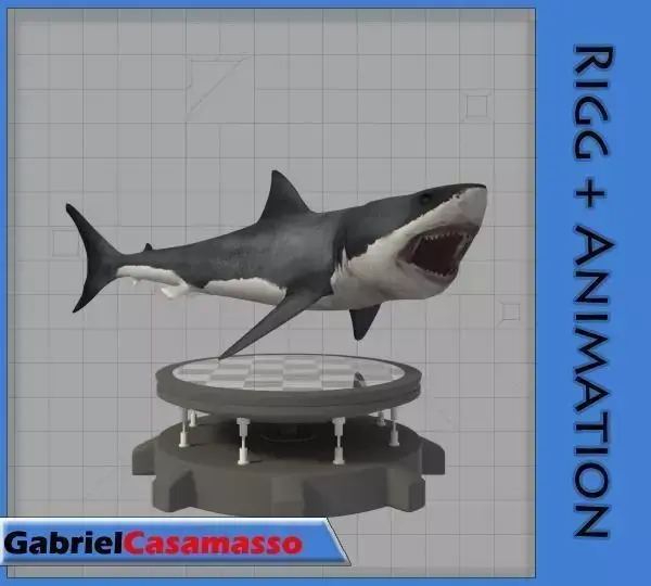 Great White Shark 3D model 8
