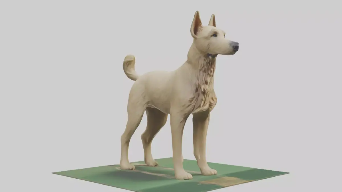 Berger Picard herding model Low-poly 3D model