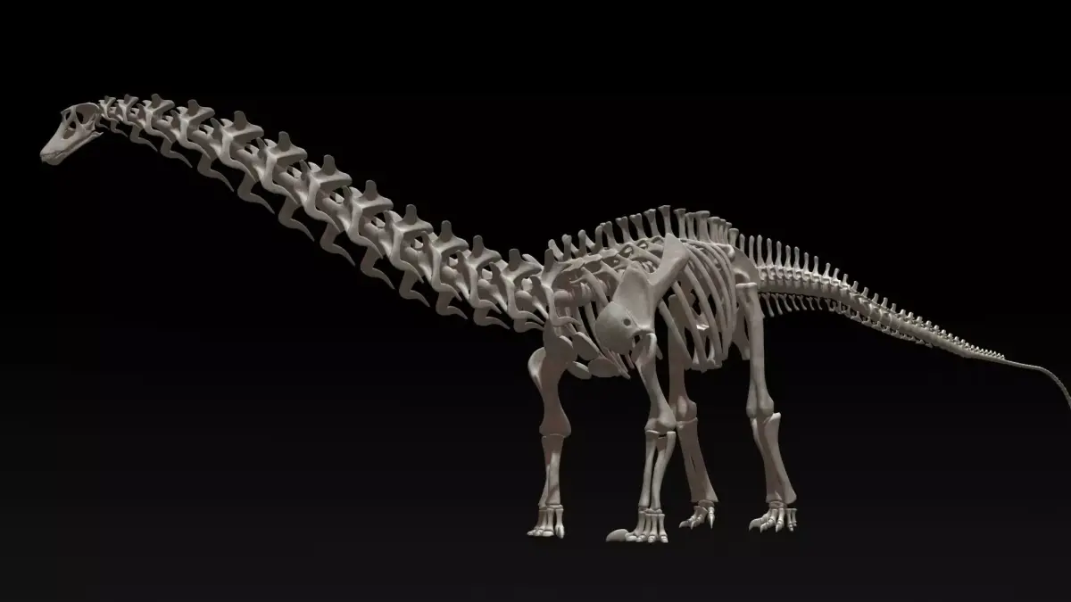 3D Diplodocus Skeleton Low-poly 3D model