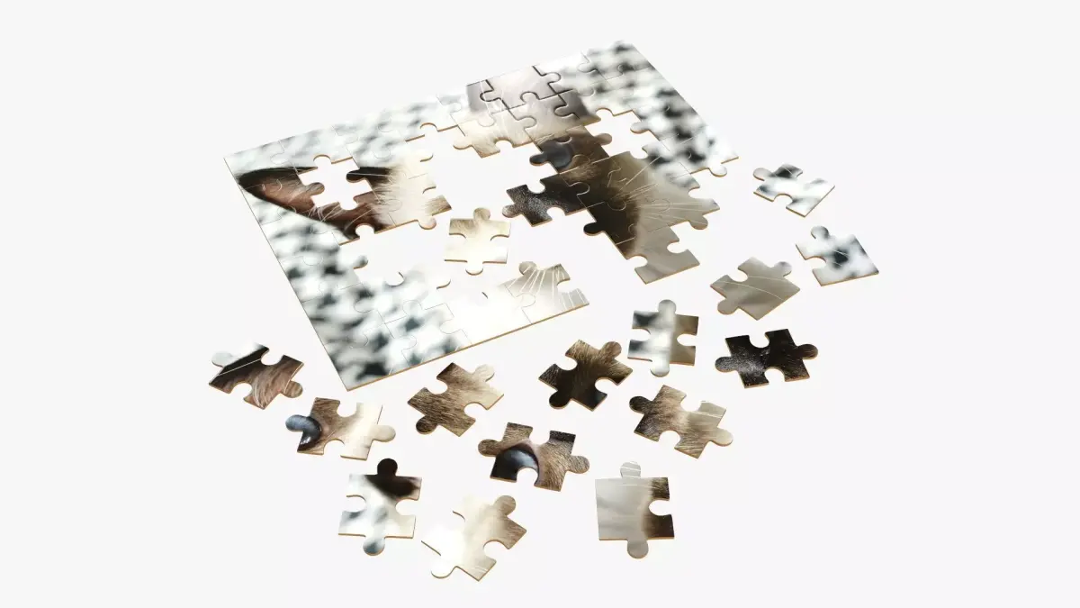 48-piece jigsaw puzzle 3 3D model