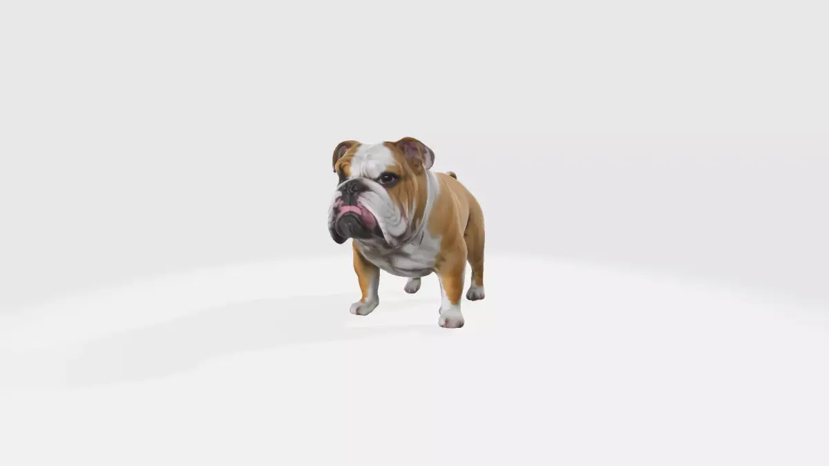 3d Rendering High Resolution Bulldog 3d Modern Trendy Model  3D model