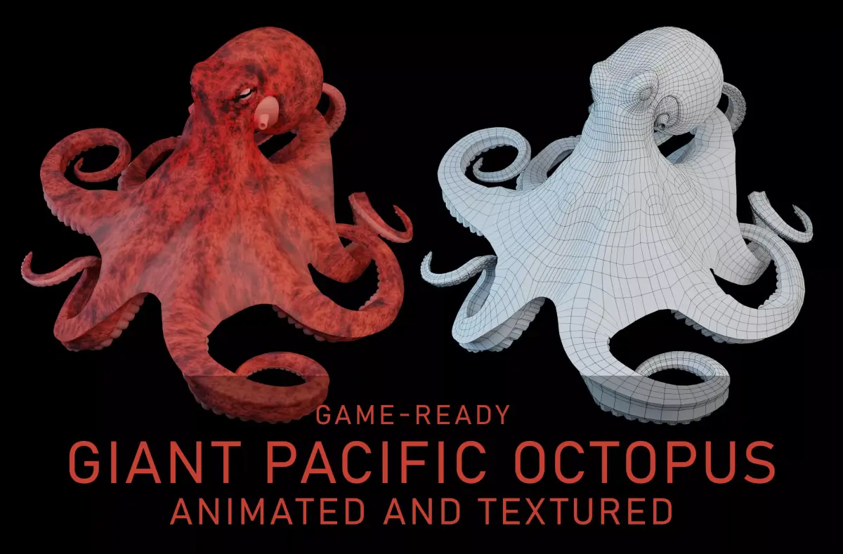 Animated Octopus Low-poly 3D model