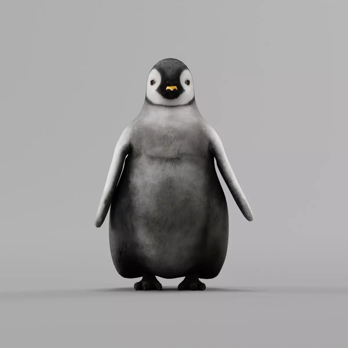 Emperor Penguin Baby Animal 3D model