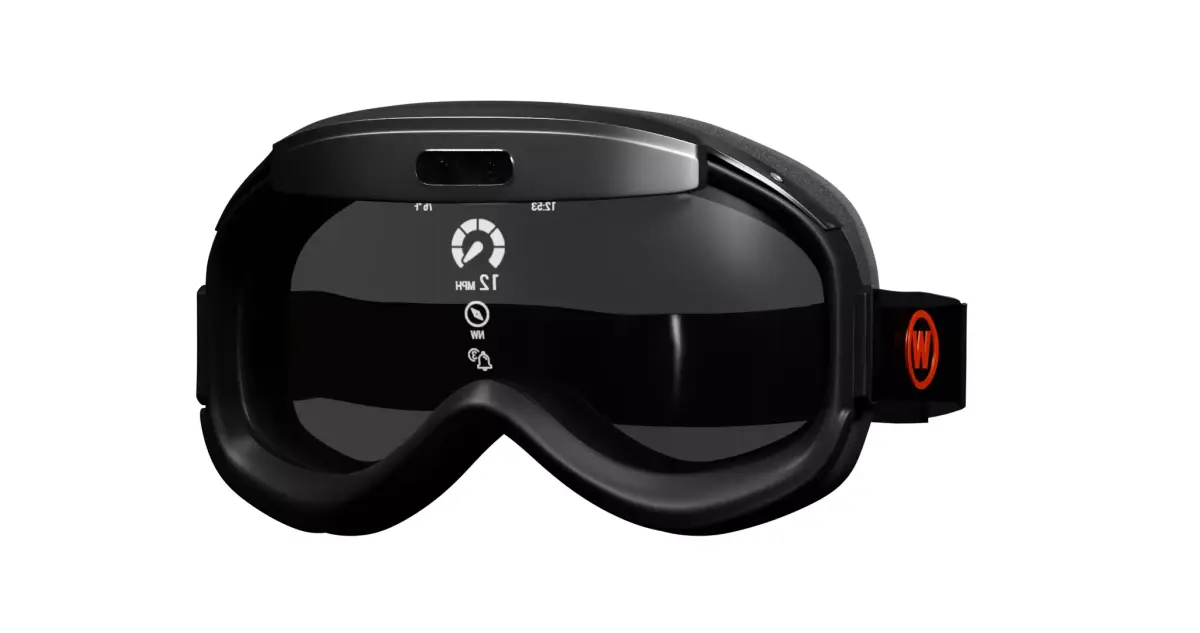 Flower goggles 3D model