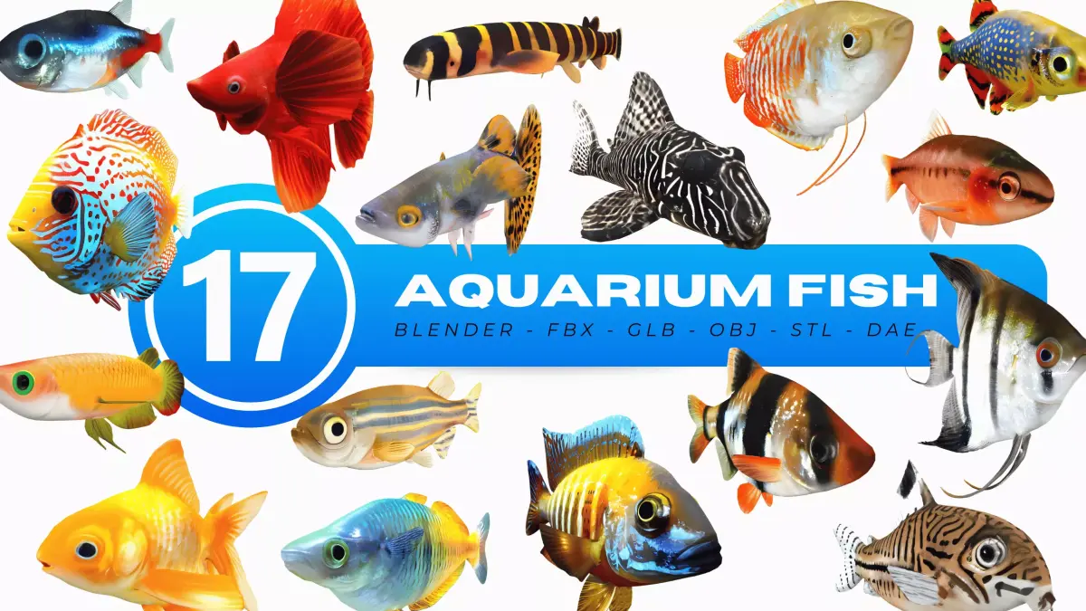 Aquarium Fish Collection - 17 Set 3D model