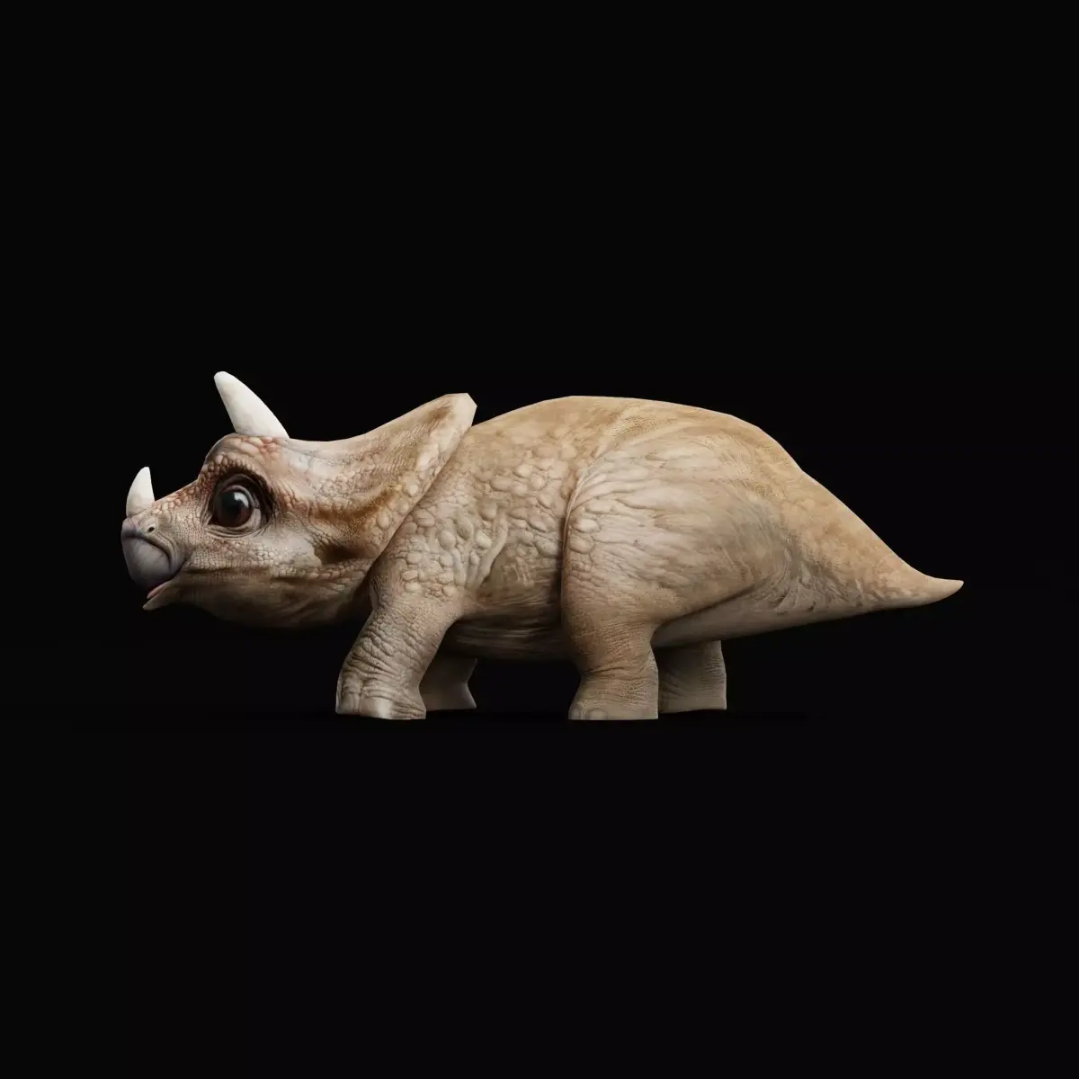 Triceratops Baby Reptile Dinosaur Low-poly 3D model
