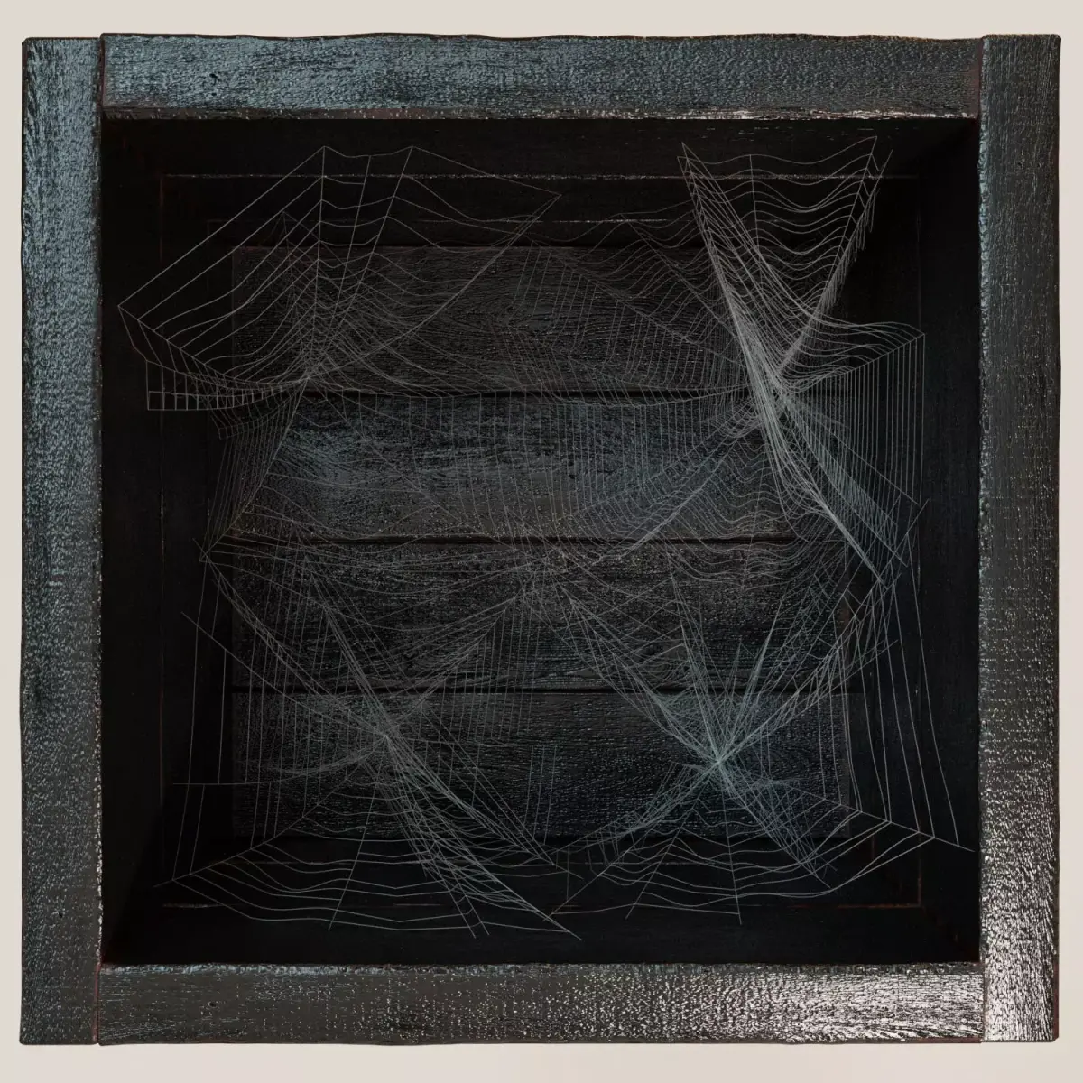 Spiderweb for shelves 3D model