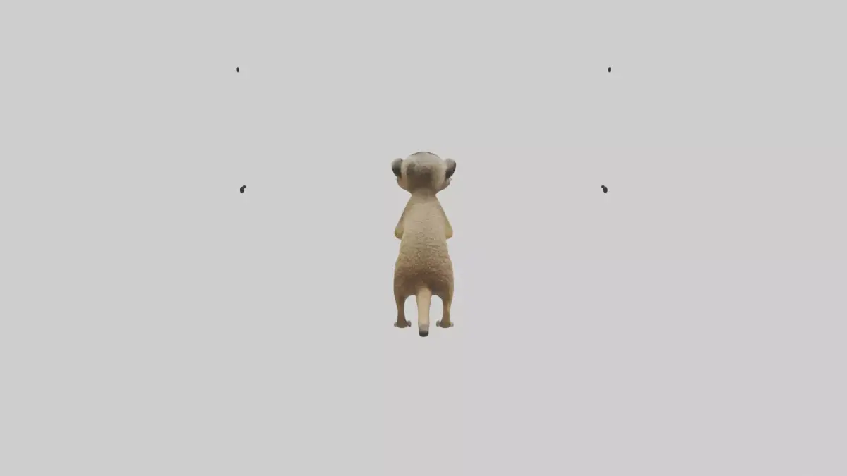 Meerkat cub watching model Low-poly 3D model