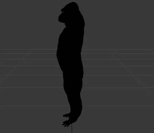 Black monkey 3D model