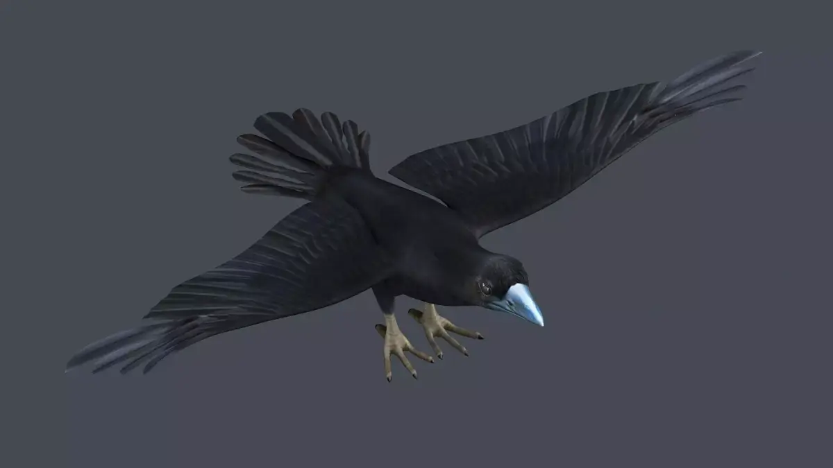 Crow Raven Black Bird Black Crow raven corvus animal bird  3D model