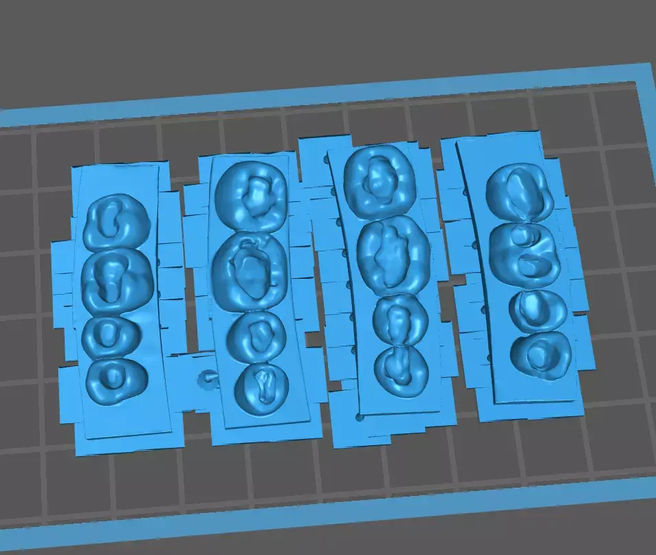 Dental training models 3D print model