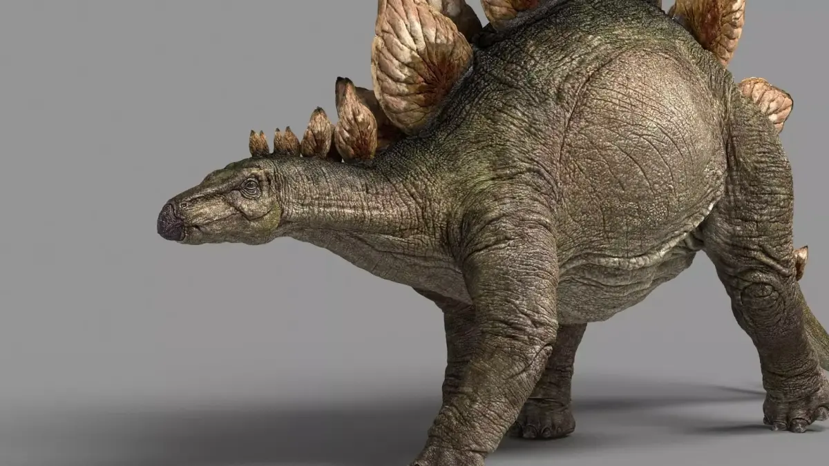 Stegosaurus astil 3D model