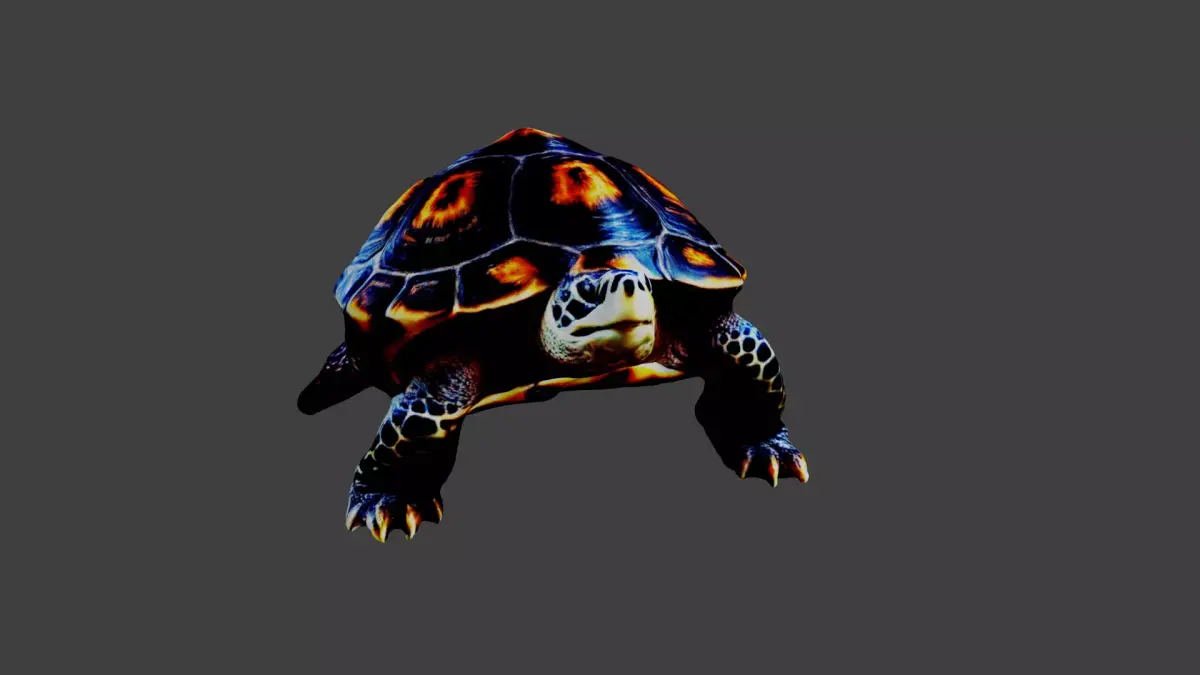Turtle - Tortoise Low-poly 3D model purchase