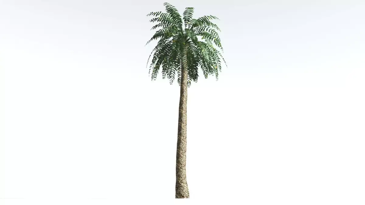 EVERYPlant Date Palm LowPoly 2 --16 Models-- Low-poly 3D model
