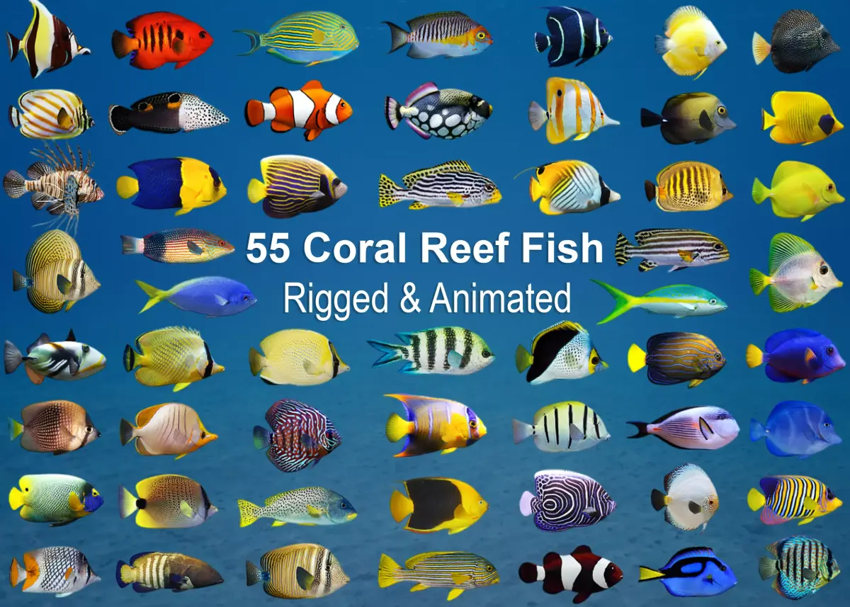Coral Reef Fish Collection Animated - Game Ready pack 3 Low-poly 3D model
