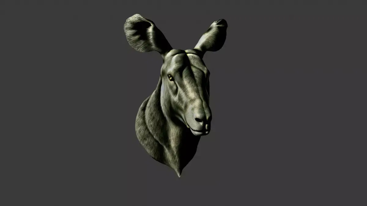 Animal Head Low-poly 3D model 26