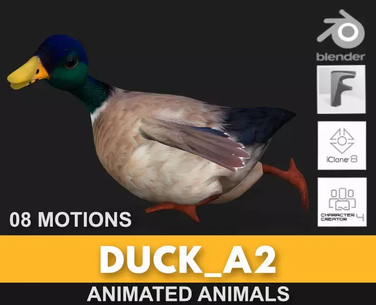 Duck A2 3D model