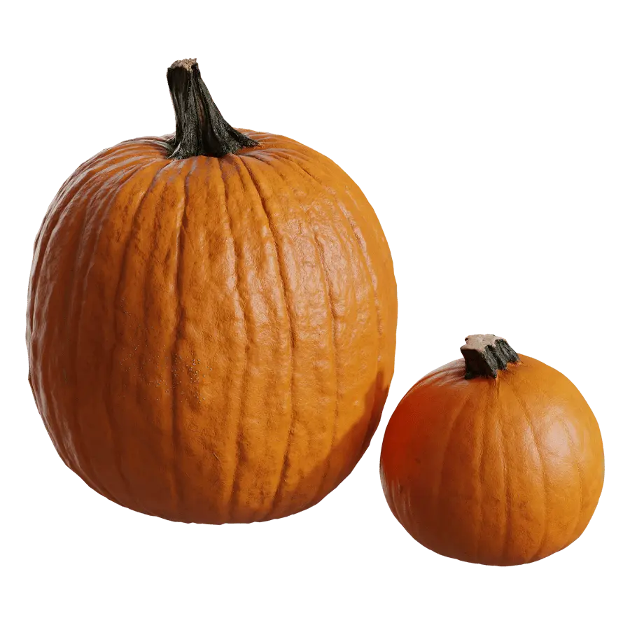  Large Pumpkin Models Collection 