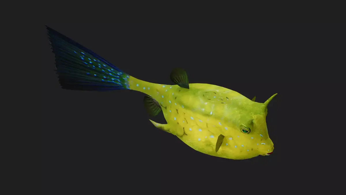 Filefish Low-poly 3D model purchase