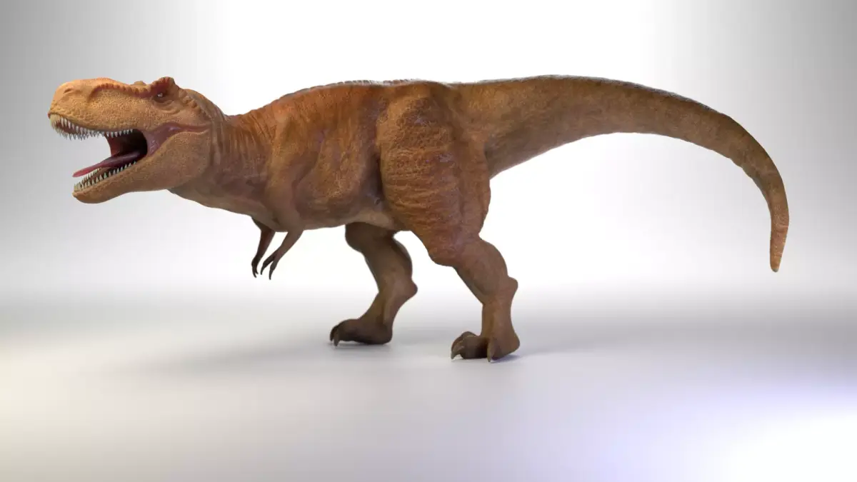 Tyrannosaurus Rex 3D model