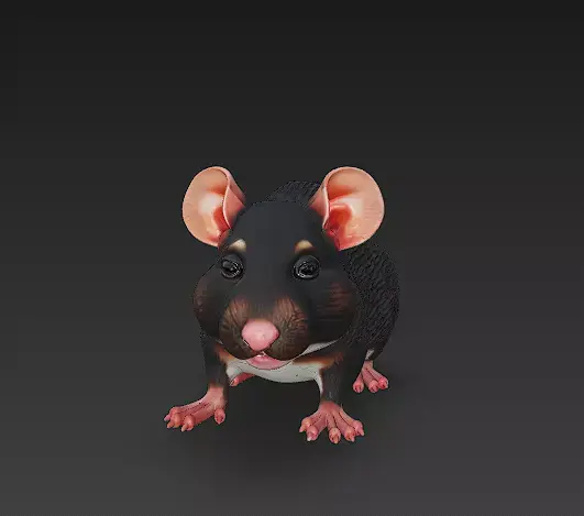 Rat Realistic 3D Model Basic - Low Poly Realistic Low-poly 3D model purchase
