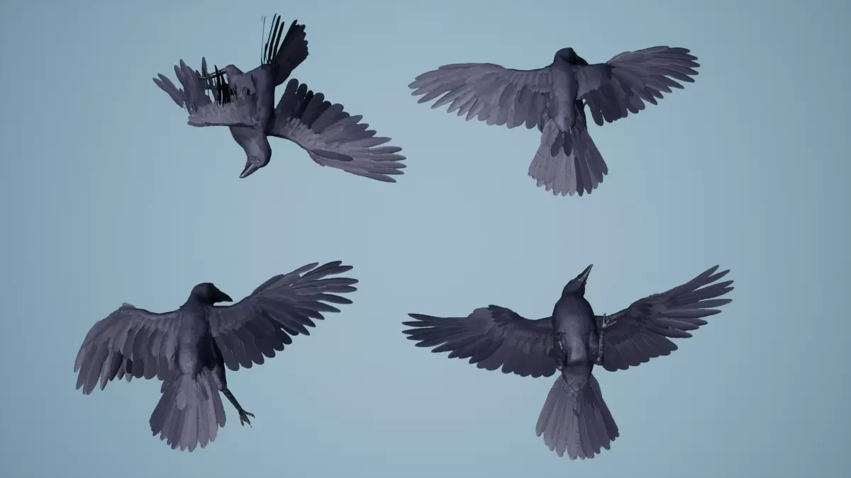 Dead Crow Low-poly 3D model