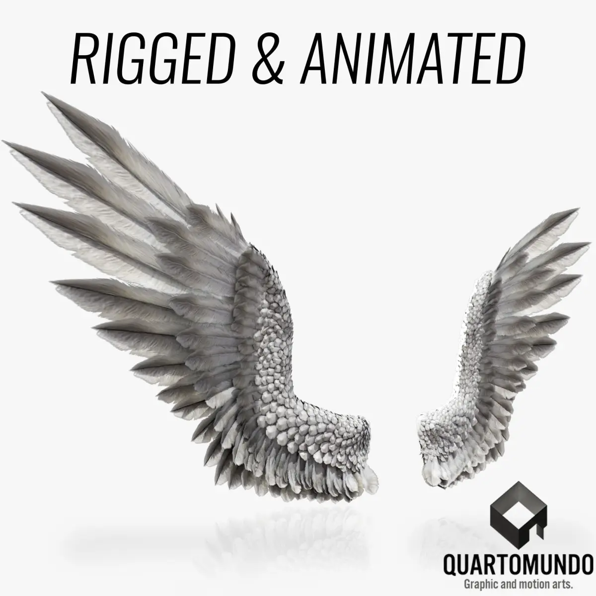 Pair of Bird Wings C4D  Low-poly 3D model