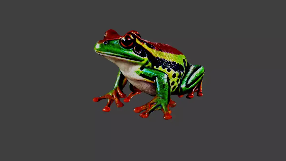 Frog Animal Low-poly 3D model
