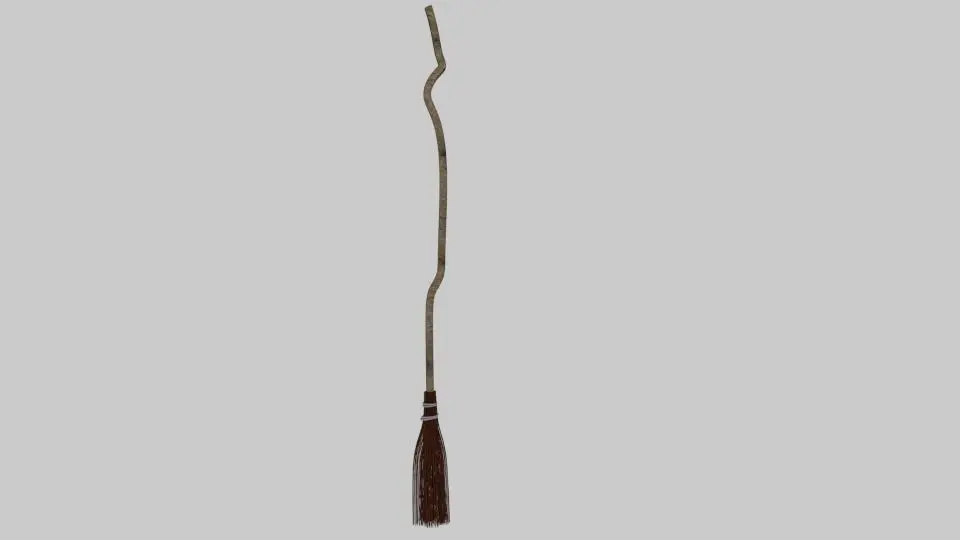 Witch Broom 3D model