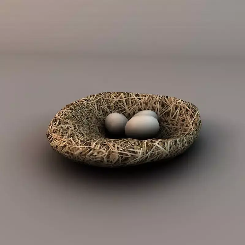 Nest with eggs Low-poly 3D model