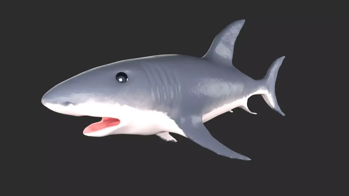 Shark Low-poly 3D model order