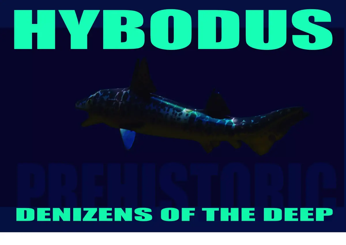 Hybodus shark Low-poly 3D model