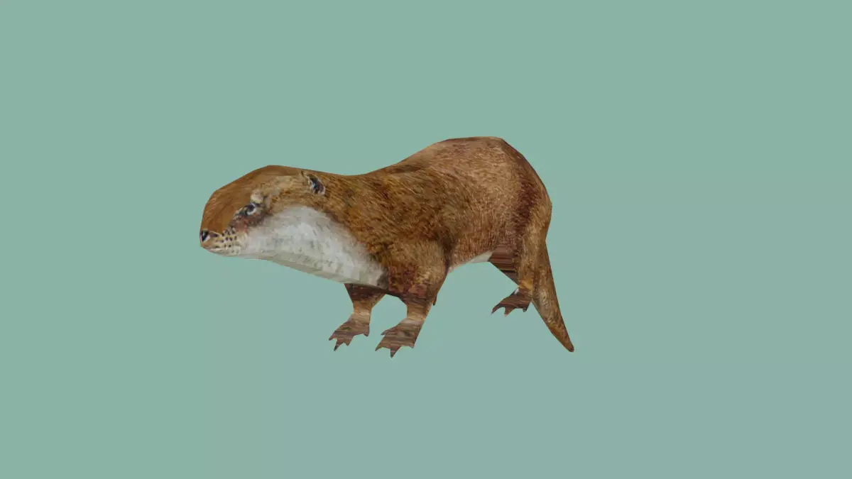 squrrel lowpoly 3d model 3D model