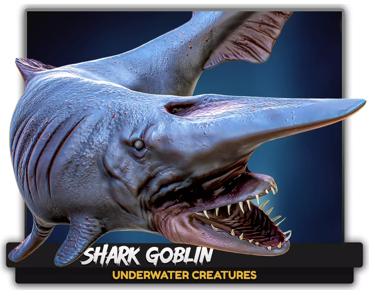 The Shark Goblin - fish - Ocean predator - Fish 3d model 9 Low-poly 3D model