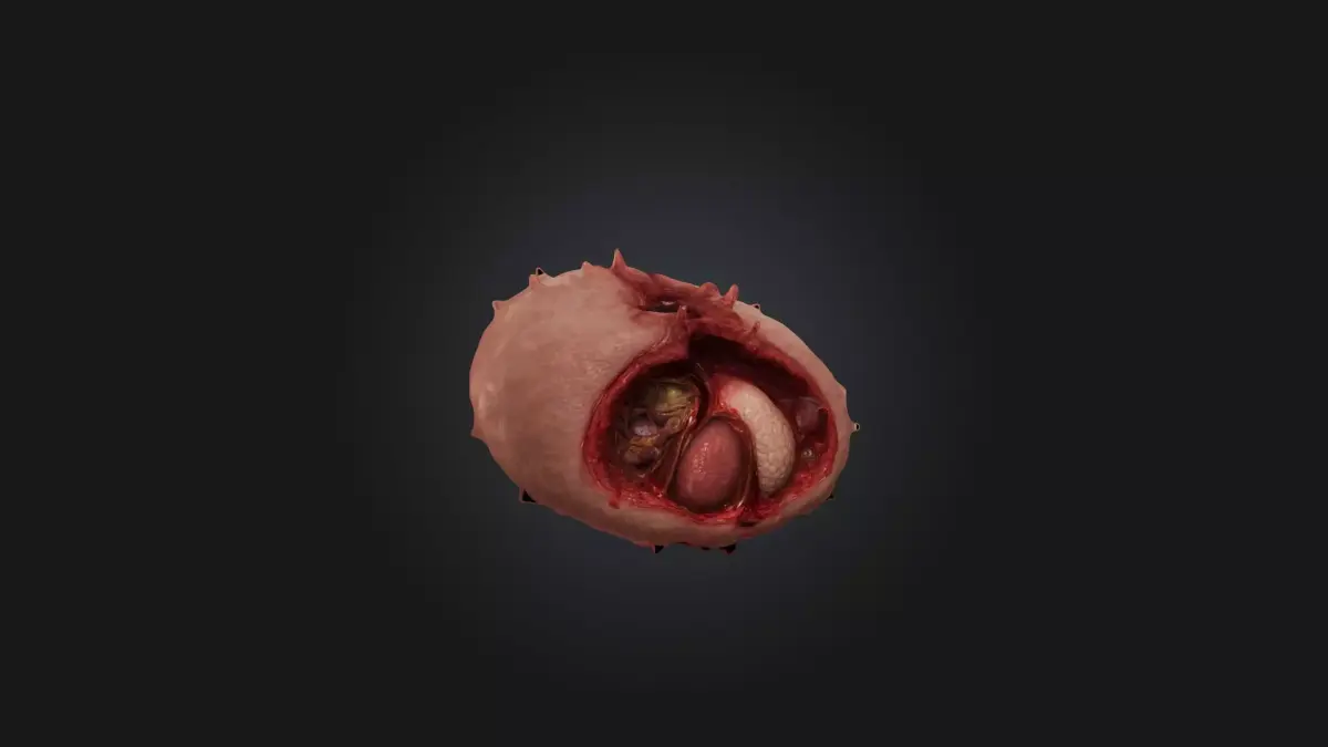 Infected Spleen Low-poly 3D model