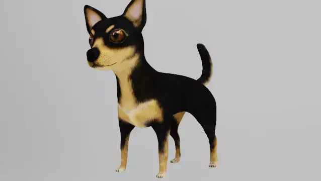DOG CHIHUAHUA Low-poly 3D model purchase