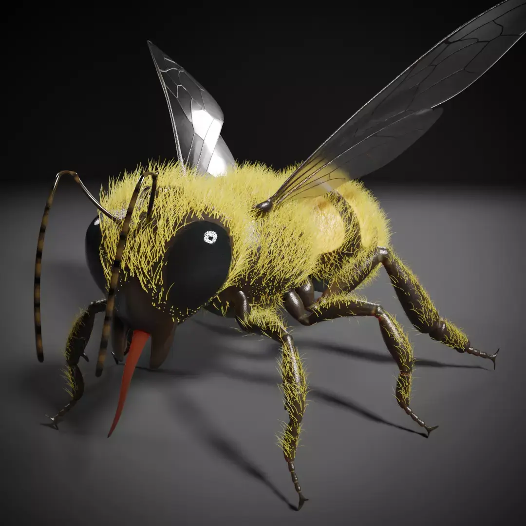 Honey bee 3D model