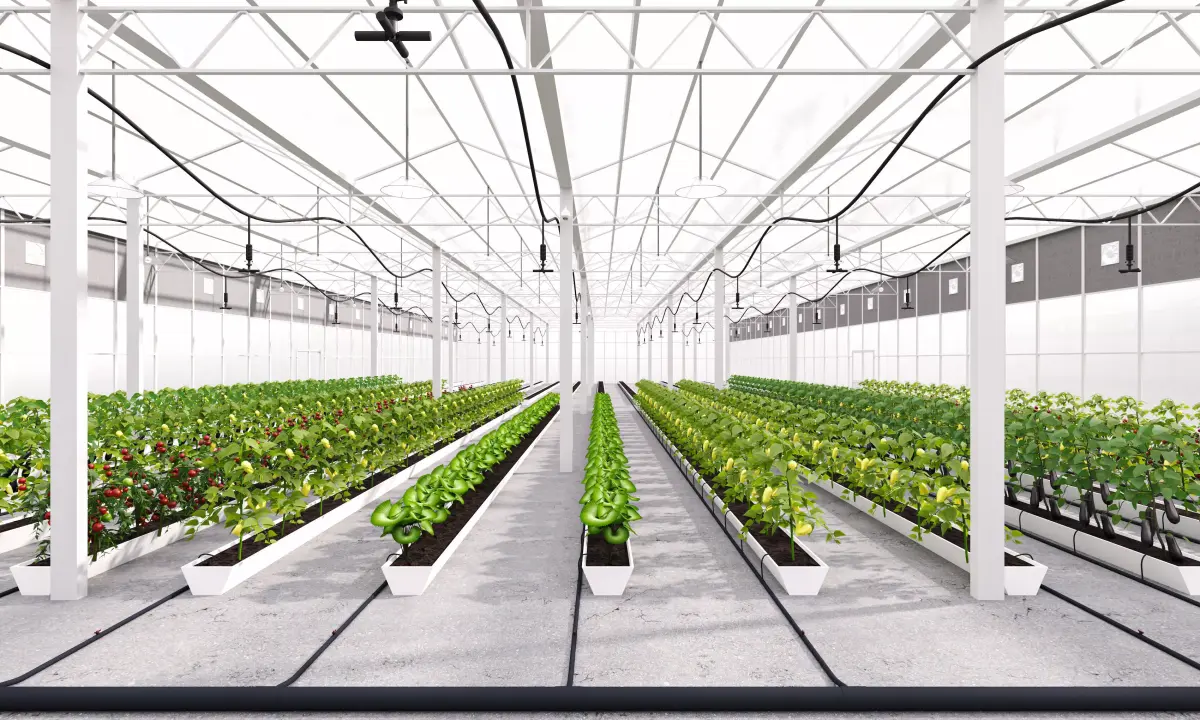 Intelligent greenhouse vegetable planting shed 3D model