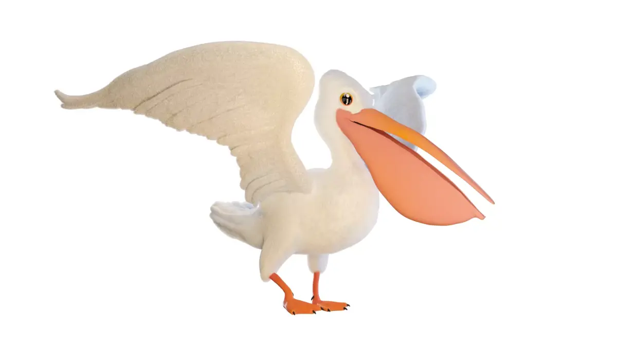 Pelican 3D model purchase