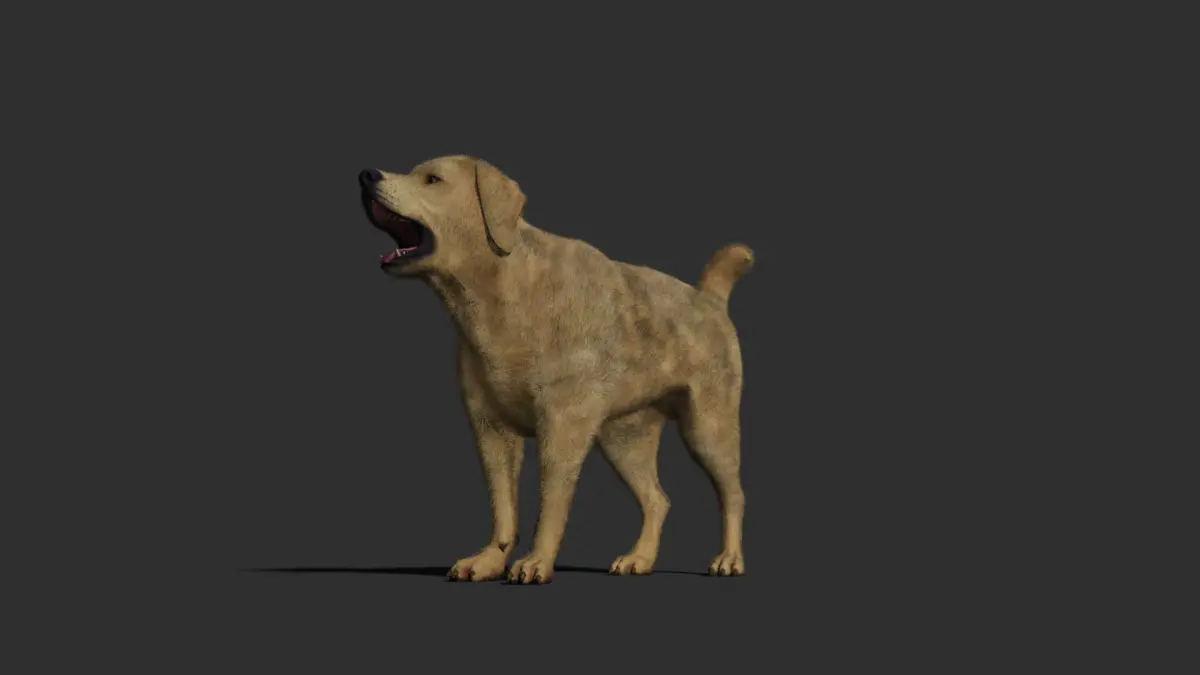 Dog rigged and animated 3D model