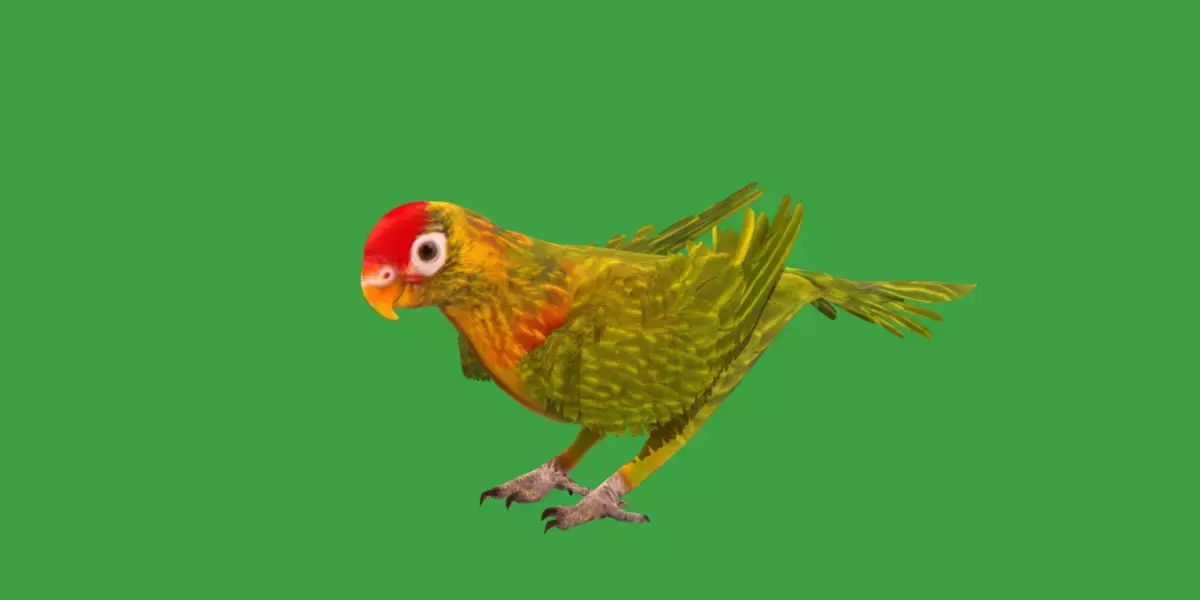 Varied Lorikeet Bird Low-poly 3D model