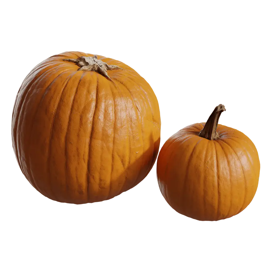  Medium Pumpkin Models Collection 