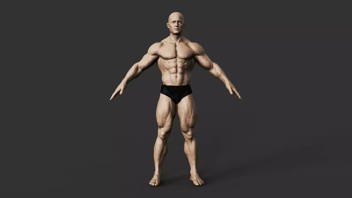 Bodybuilder 3D print model order
