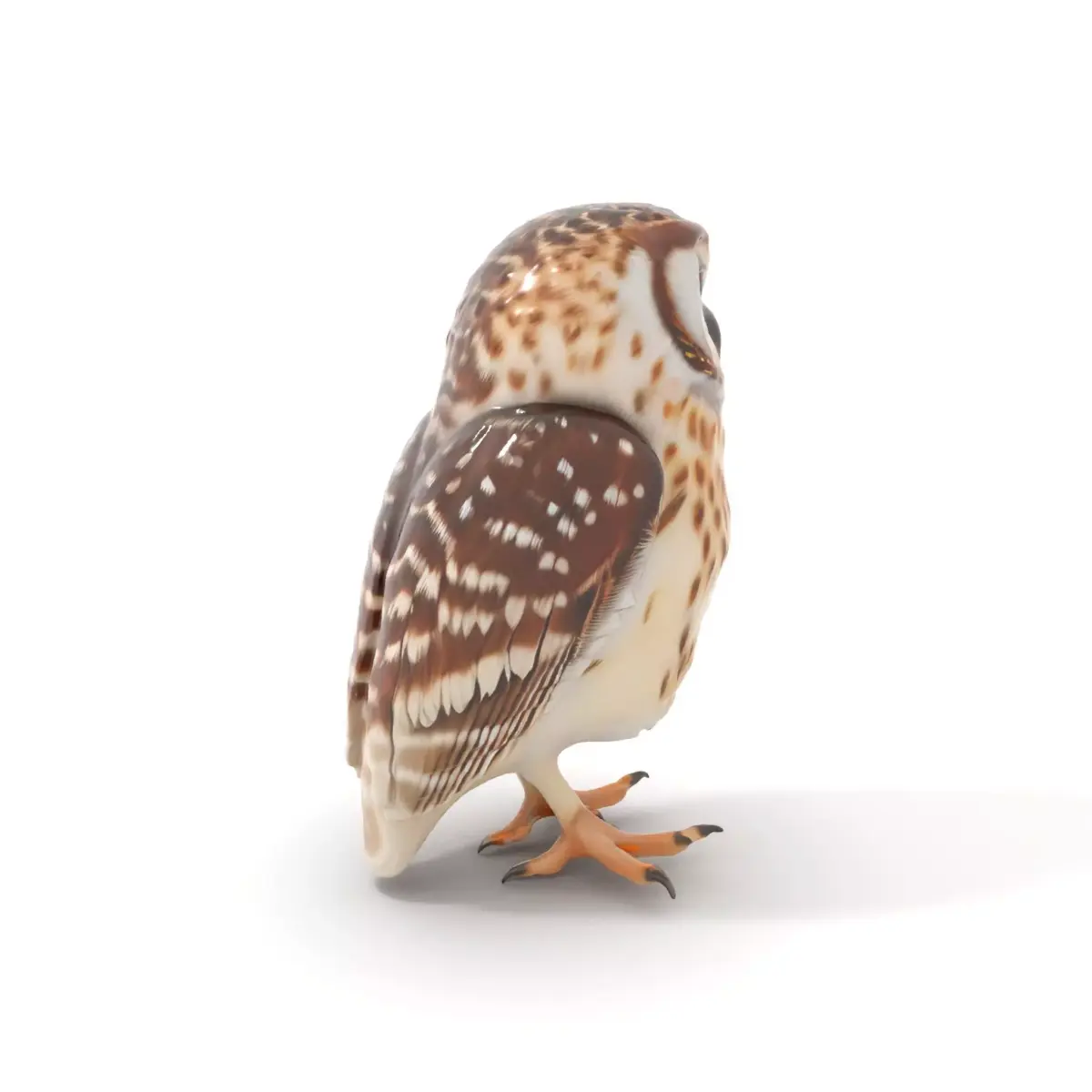 Spotted Owl Figurine model pack Low-poly 3D model